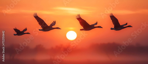 Silhouette birds flying against orange sky