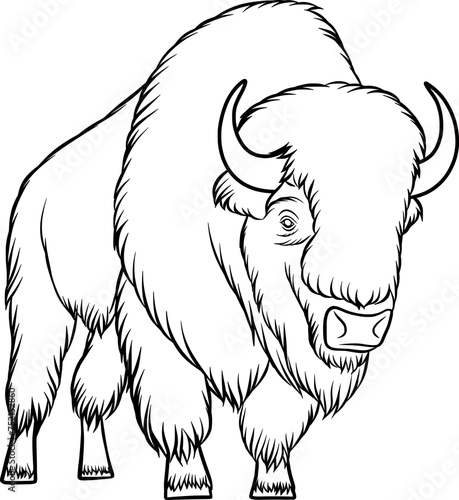 bison, vector outline illustration of a standing bison