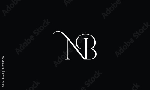 BN, NB, Abstract Letters Logo Monogram