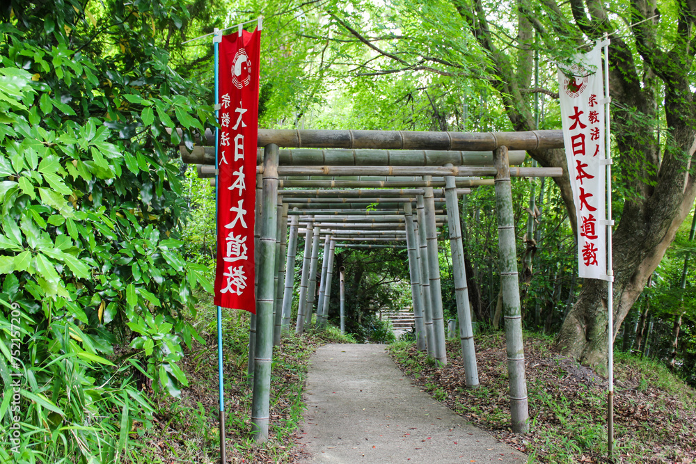 Traditional Bamboo Torii Gate at the Entrance of a Lush Japanese Pathway in Daylight Traditional Bamboo Torii Gate at the Entrance of a Lush Japanese Pathway in Daylight