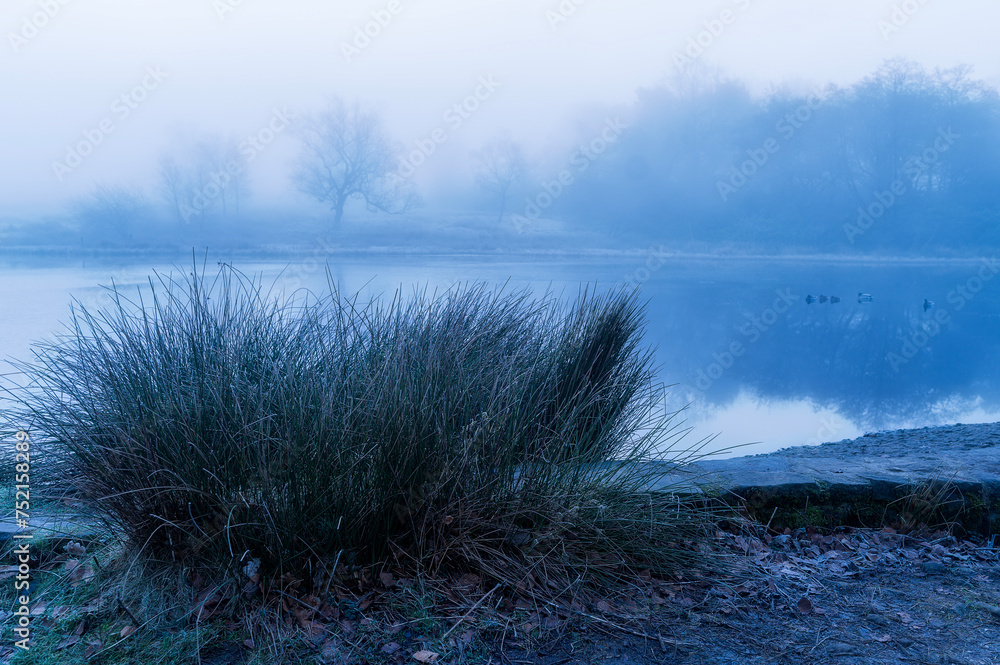 Obraz premium misty morning on the lake
