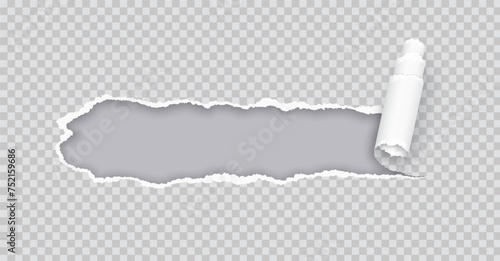 Torn paper rolled strip over grey realistic vector illustration. Teared page. Destroyed document sheet 3d object on transparent background