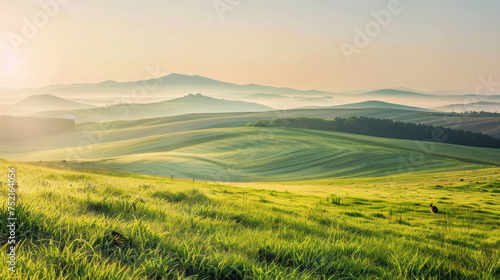 Sunny Meadow Horizon  A scenic landscape featuring a vibrant sunset over a lush green field with majestic mountains in the background