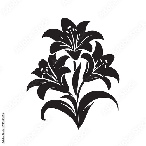  Silhouette of Easter Lilies in Bloom