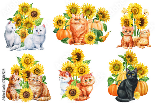 Watercolor cat and sunflowers set on a white background, Autumn postcard with baby animal, flowers. Cute ginger kittens 