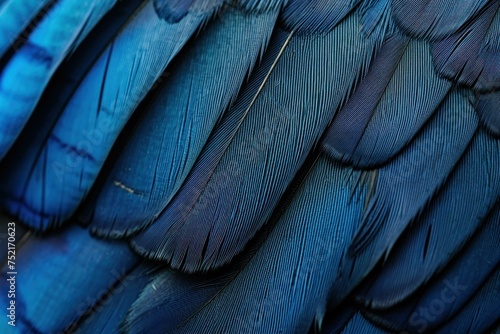 Abstract blue and black bird feathers texture close-up photo