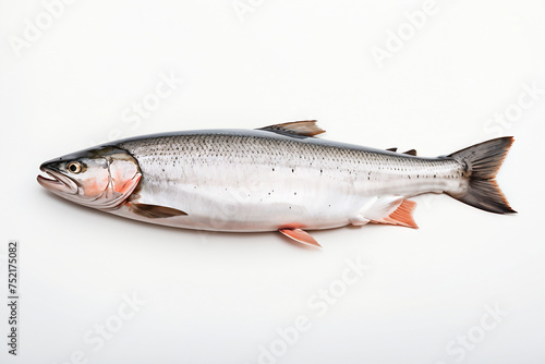salmon isolated on white background. ai generative
