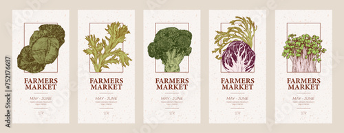 Farmers market flyers templates. Cabbage,  lettuce and microgreens engraved illustrations photo