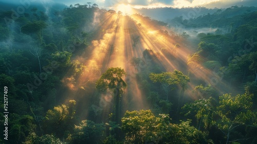 Sun Shining Through Clouds in Jungle