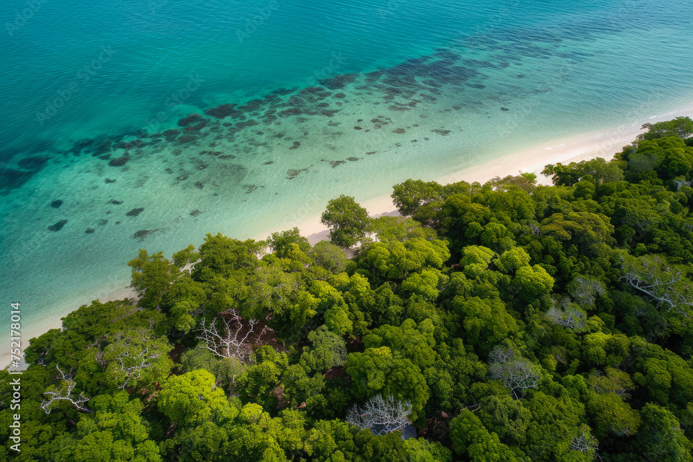 Mangrove Oasis from a Bird's Eye View
