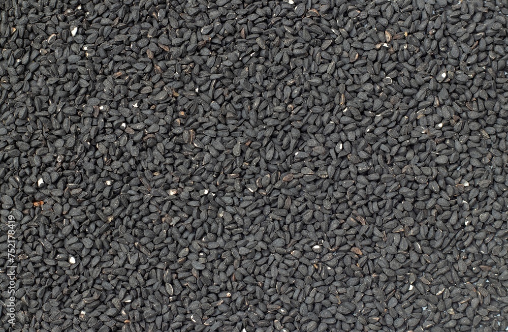 Black Cumin Seed or Jeera Background with Copy Space in Horizontal Orientation Black Cumin Seed or Jeera Background with Copy Space in Horizontal Orientation