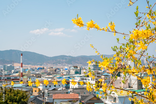 View of Miryang City with spring flower in Miryang, Korea