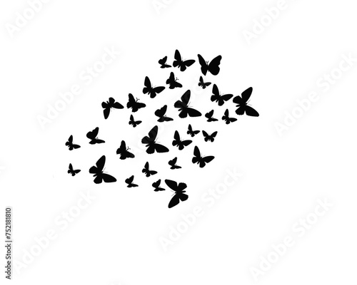 black butterfly shape icon vector