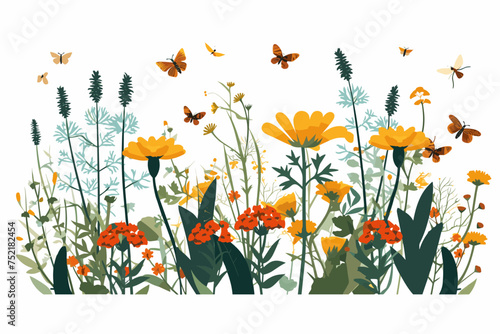 Wild spring flowers vector collection. herbs, herbaceous flowering plants, butterflies, bugs, blooming flowers, subshrubs isolated on white background. Detailed botanical vector illustration.