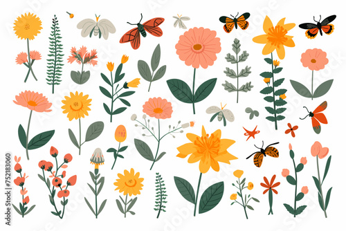 Wild spring flowers vector collection. herbs  herbaceous flowering plants  butterflies  bugs  blooming flowers  subshrubs isolated on white background. Detailed botanical vector illustration.