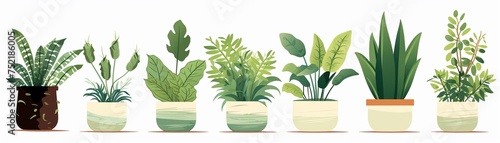 Isolated vector houseplants symbolizing growth and a commitment to zero waste living spaces photo