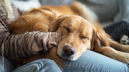  young adult woman working at home, cuddling and petting her dog. in the living room of her house. Stay-at-home lifestyle concept with pet.