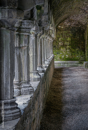 Sligo Abbey, perspective of columns