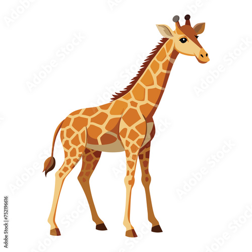 Giraffe illustration on White Background