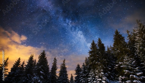 A beautiful night sky and coniferous forest, trees, stars, Milky Way galaxy