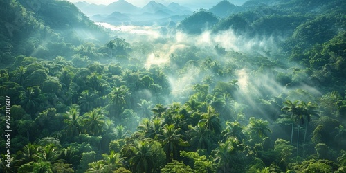 In the serene morning light, fog blankets the lush forest, creating a mystical atmosphere in the tranquil landscape.