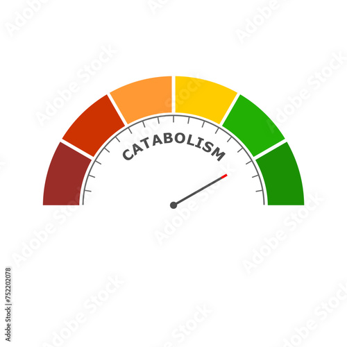 Catabolism high level on measure scale. Instrument scale with arrow. Colorful infographic gauge element. Catabolism breaks down large molecules with ATP as energy into smaller units.