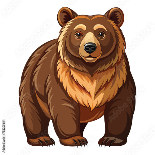 Bear illustration on White Background