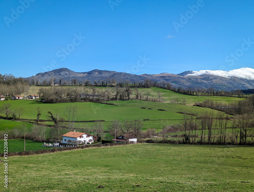 Paisagem serena: Zona rural com pastos verdejantes e montanhas nevadas no horizonte em Larrau no País Basco, França