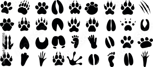 animal paw print Vector illustration, diverse animal tracks, wildlife footprints, educational, informational, decorative, biodiversity, forests, mountains, deserts, wetlands