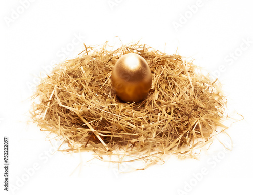 Goldenes Ei im Nest isoliert auf weissem Hintergrund