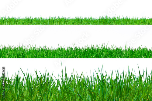 Grüne Grashalme freigestellt in verschiednen grössen