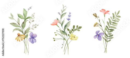 Wild field herbs flowers. Watercolor vector floral collection set bouquets. Design for invitation, card, stationery, fashion, wedding, prints. Holiday decor. Hand drawn illustration. photo