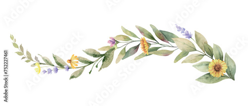 Watercolor flower branch. Wild field herbs flowers. Vector design for invitation, card, stationery, wallpaper, fashion, wedding. Holiday decor. Hand drawn illustration.