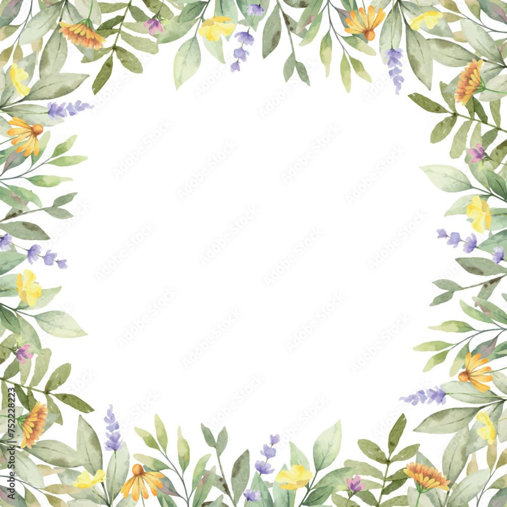 Watercolor vector flower square border. Wild field herbs flowers. Design for invitation, card, stationery, fashion, wedding, prints. Blank space for your text. Hand drawn illustration.