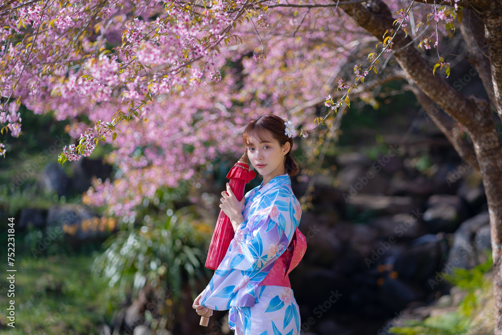 Pretty Asian woman in a Yukata dress. Portrait fashion girl wearing a traditional Japanese kimono or Yukata dress holding a red umbrella with sakura flowers or cherry blossoms blooming in the park. Pretty Asian woman in a Yukata dress. Portrait fashion girl wearing a traditional Japanese kimono or Yukata dress holding a red umbrella with sakura flowers or cherry blossoms blooming in the park.