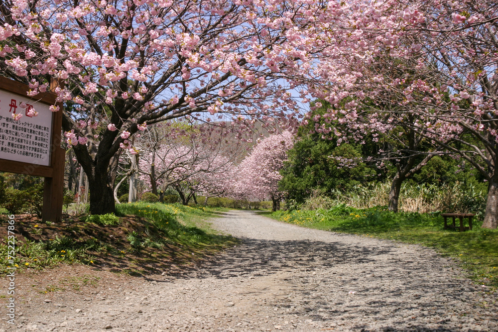 松前公園