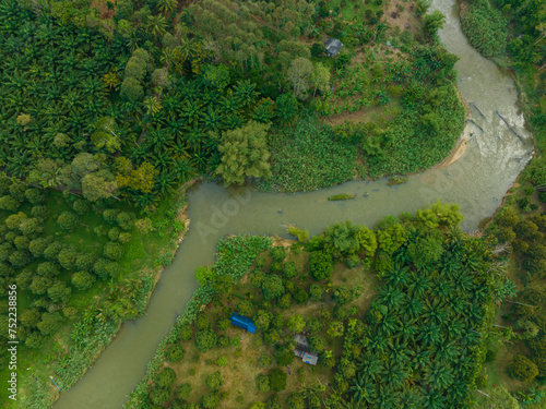 Aerial view tropical rainforest green tree ecology system with riverside