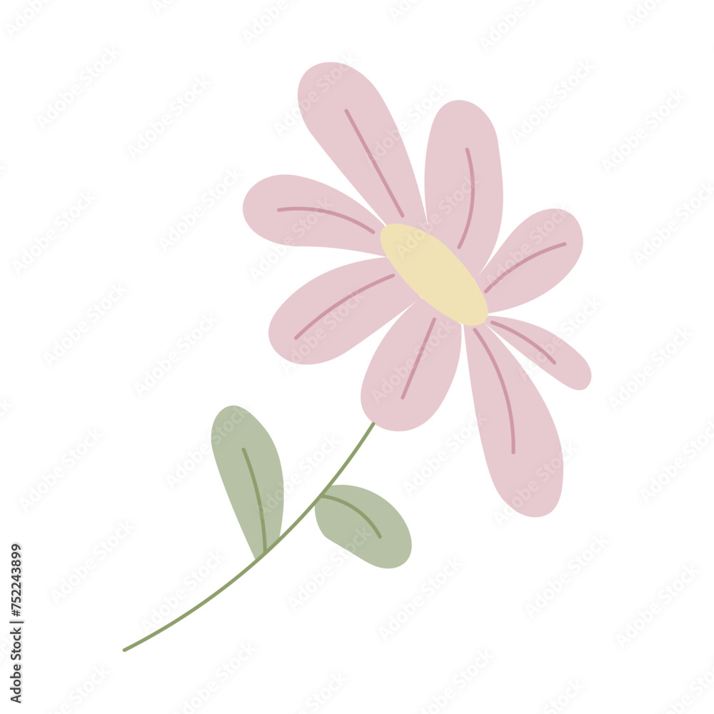 A single flower on a white background. A single flower on a white background.