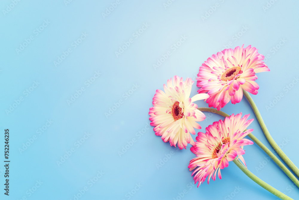 image to crop