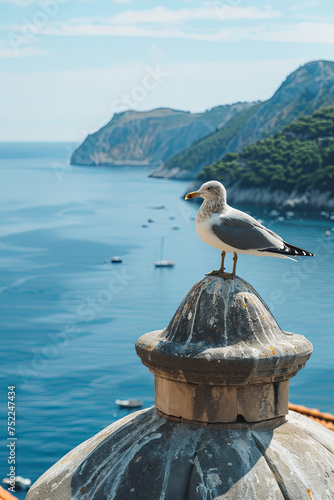 Sea seagull sitting on a spire photo