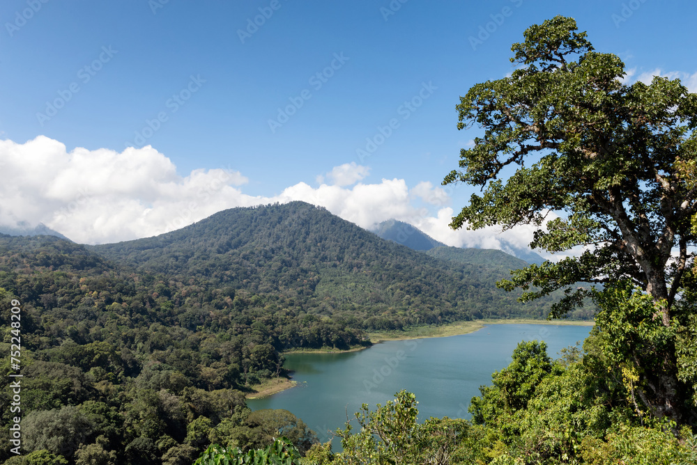 Rainforest and lake in Indonesia