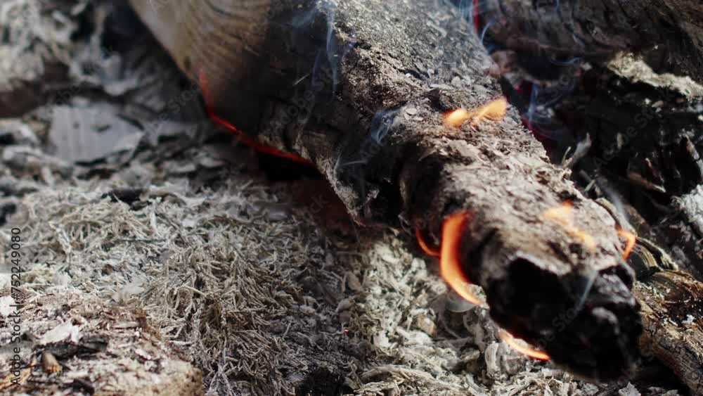 Abstract Oak Wood Bonfire in Flames Smoke and Ashes Abstract Oak Wood Bonfire in Flames Smoke and Ashes