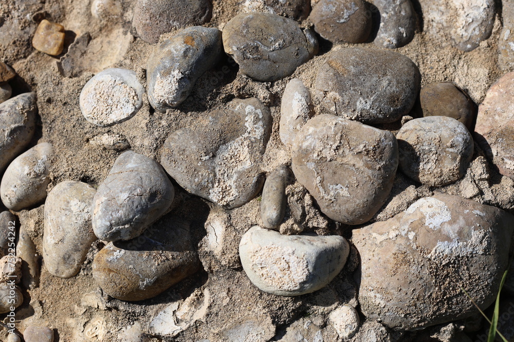 Top view a conglomerate composed of rounded to subangular gravel-size clasts. Top view a conglomerate composed of rounded to subangular gravel-size clasts.