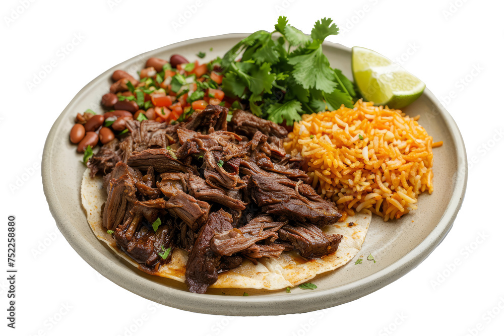 beef barbacoa with rice, beans and tortillas located on a white background beef barbacoa with rice, beans and tortillas located on a white background
