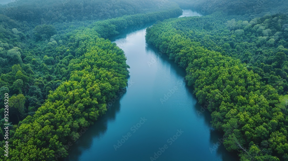 Boat Traveling Down River Surrounded by Trees Boat Traveling Down River Surrounded by Trees
