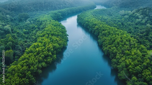 Boat Traveling Down River Surrounded by Trees