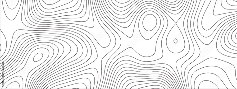 Title	
Abstract Topographic line art background. Mountain topographic terrain map background with white shape lines.Geographic map conceptual design.Black on white contour height lines.