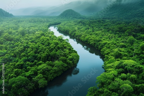 Aerial view of a river winding through a lush green forest