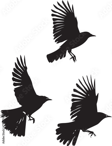 Set of black birds silhouette on white background