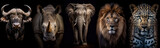 Front view portrait of an elephant on black background, Africa wildlife, generative AI